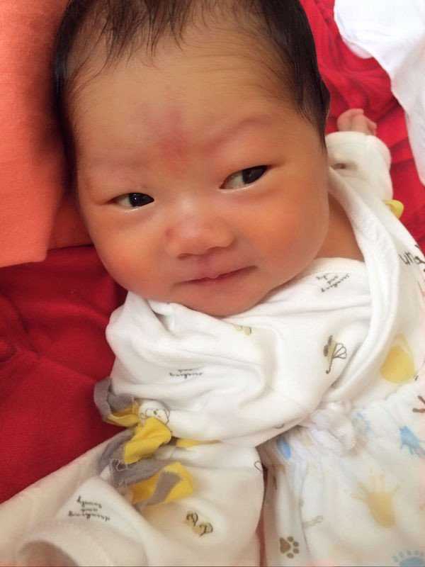 试管婴儿移植后食谱图_试管婴儿上海医院排名_我想咨询一下，试管婴儿怎么做